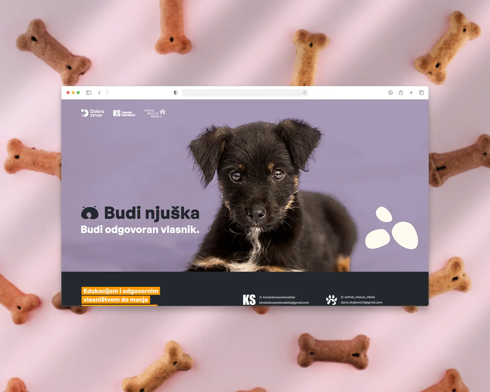 budi-njuska-project